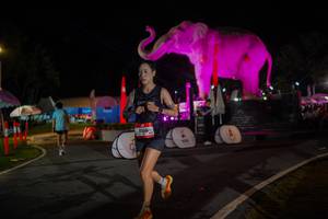 BIB: 
                            <button type="button" onclick="openModal(26552117)" class="btn btn-primary btn-sm float-right btn-popup" data-toggle="modal" data-target=".modal-high-quality">
                        <i class="fas fa-shopping-cart"></i> Add to Cart
                    </button>
                                            <button type="button" onclick="isThisMe(26552117, true)" class="btn btn-success btn-sm float-right btn-popup btn-isme hidden" data-toggle="tooltip" data-placement="bottom" title="นี่คือรูปของคุณใช่ไหม คลิกที่นี่เพื่อเอาเข้าอัลบั้ม">
                        <i class="fas fa-plus"></i> Add to album
                    </button>
                    <button type="button" onclick="isThisMe(26552117, false)" class="btn btn-warning btn-sm float-right btn-popup btn-isnotme hidden">
                        <i class="fas fa-ban"></i> Remove from album
                    </button>